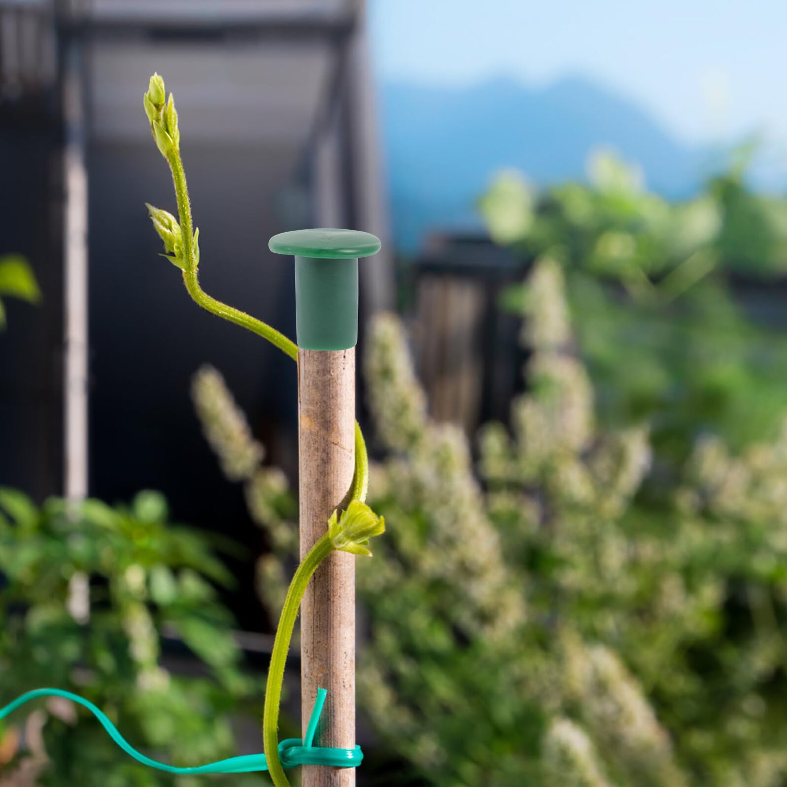 Amazon | Zynphancer プラスチック製植物支柱キャップ 36個入り 緑色